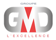 LOGO-gmd